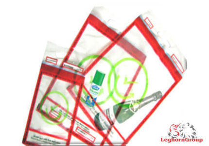 plic de securitate