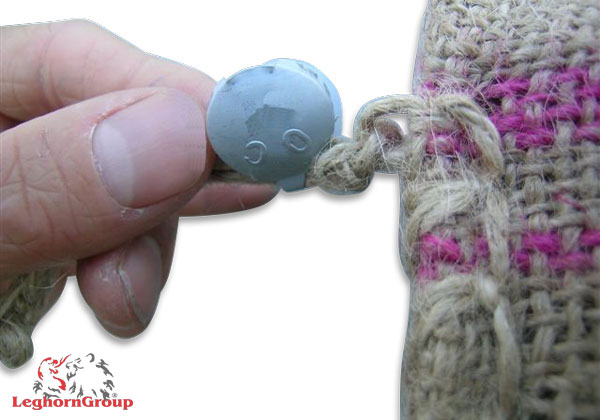 sigiliul-criusseal-03 Sigiliul CRIUSSEAL